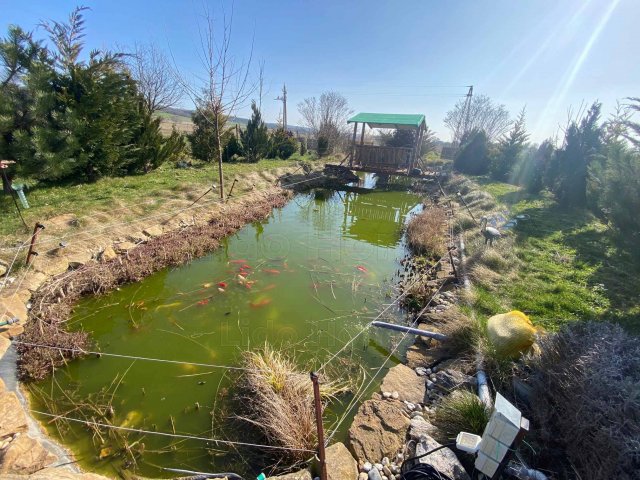 Eladó családi ház, Gelsén 55 M Ft, 3 szobás