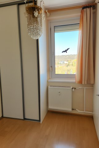 Eladó panellakás, Budapesten, III. kerületben 79 M Ft, 1+2 szobás