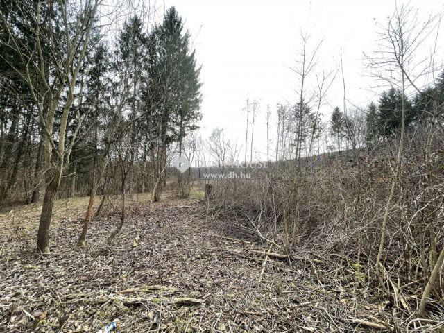 Eladó telek, Szentgotthárdon 8.2 M Ft / költözzbe.hu