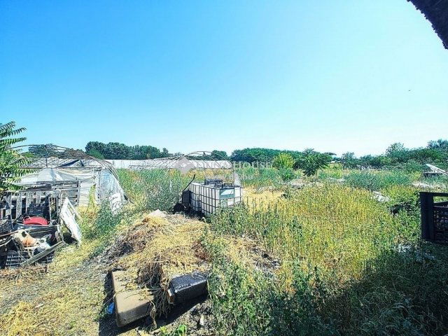 Eladó mezogazdasagi ingatlan, Szatymazon 70.1 M Ft, 4 szobás