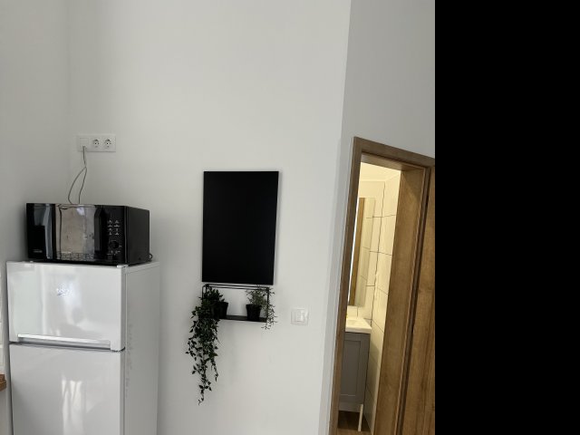 Kiadó téglalakás, albérlet, VIII. kerületben, Népszínház utcában