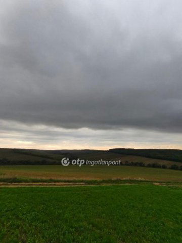 Eladó mezogazdasagi ingatlan, Homrogdon 21.5 M Ft