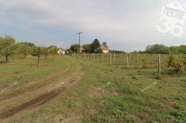Eladó mezogazdasagi ingatlan, Tázláron 52.5 M Ft