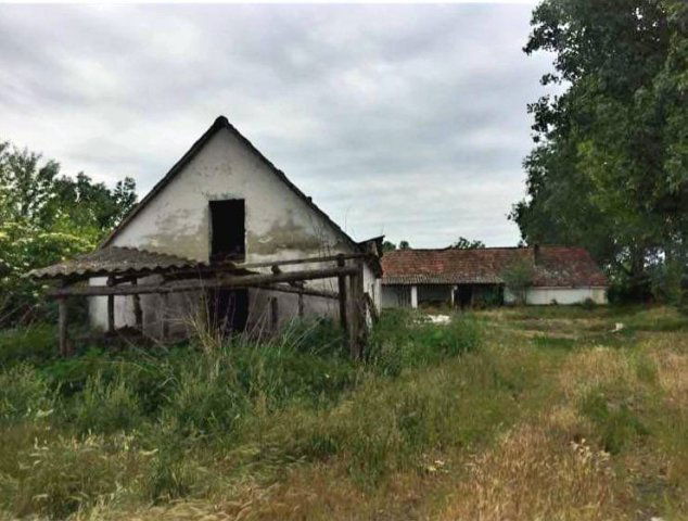 Eladó mezogazdasagi ingatlan, Sükösdön 16.9 M Ft