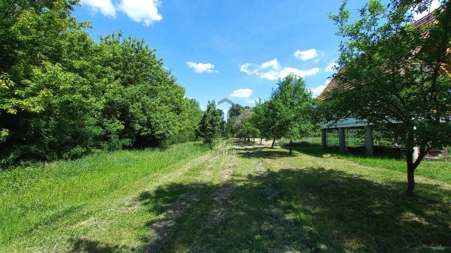 Eladó telek, Tiszacsegén 2.5 M Ft / költözzbe.hu