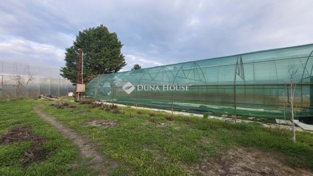 Eladó telek, Kiskunfélegyházán 16.5 M Ft / költözzbe.hu