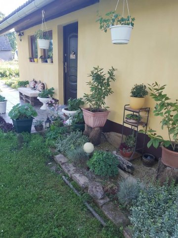 Eladó családi ház, Vízváron 32 M Ft, 2 szobás