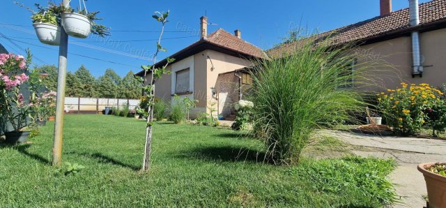 Eladó családi ház, Csemőn 48 M Ft, 3 szobás