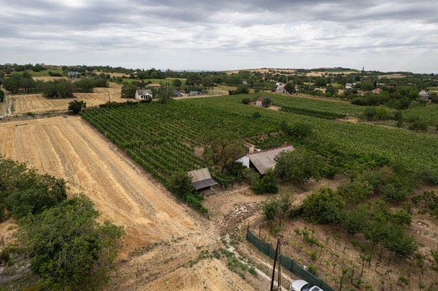 Eladó mezogazdasagi ingatlan, Polgárdin 45 M Ft