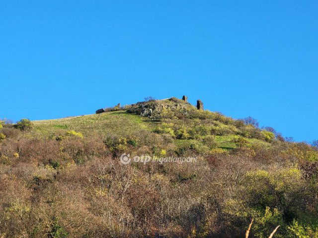 Eladó mezogazdasagi ingatlan, Gyulakeszin 35 M Ft