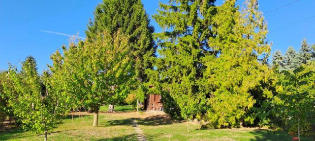 Eladó telek, Budakeszin 81 M Ft / költözzbe.hu