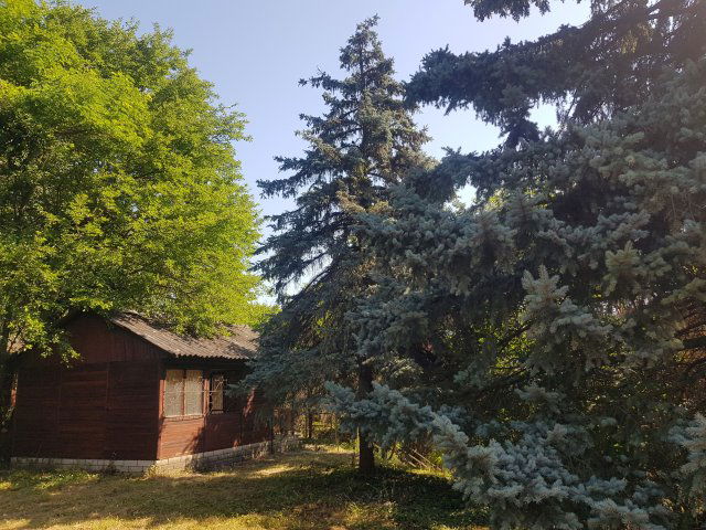 Eladó családi ház, Székesfehérvárott 123 M Ft, 1+1 szobás