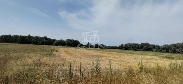 Eladó ipari ingatlan, Újlengyelen 1252.916 M Ft