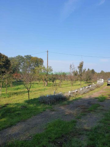 Eladó családi ház, Nyíregyházán 15.9 M Ft, 2 szobás