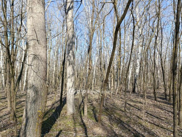 Eladó mezogazdasagi ingatlan, Üllésen 79.9 M Ft