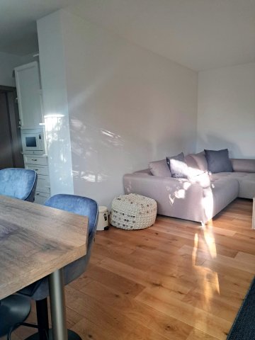 Kiadó téglalakás, albérlet, Budapesten, XI. kerületben
