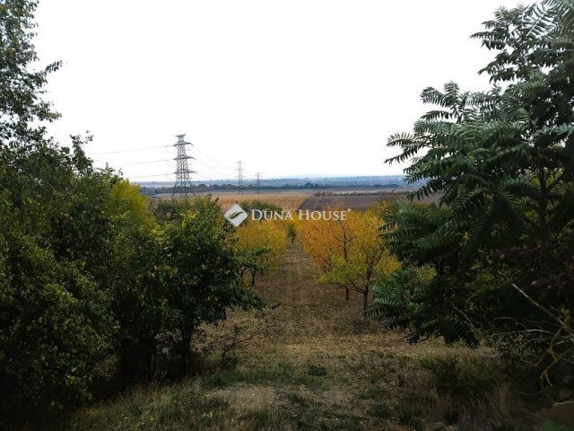 Eladó telek, Tordason 15 M Ft / költözzbe.hu