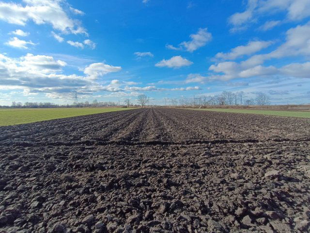 Eladó mezogazdasagi ingatlan, Délegyházán 45.9 M Ft