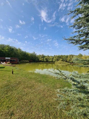 Eladó ipari ingatlan, Kecskeméten 260 M Ft / költözzbe.hu