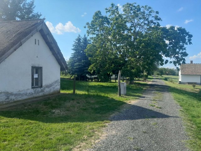 Eladó mezogazdasagi ingatlan, Buzsákon 11.9 M Ft