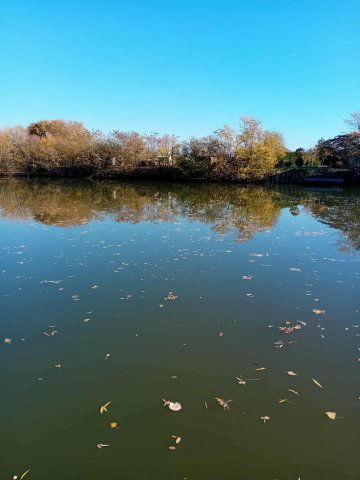 Eladó telek, Mezőtúron 17.5 M Ft / költözzbe.hu