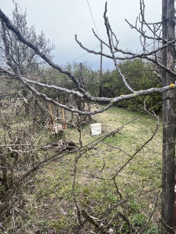 Eladó mezogazdasagi ingatlan, Győrújbaráton 12 M Ft, 1 szobás