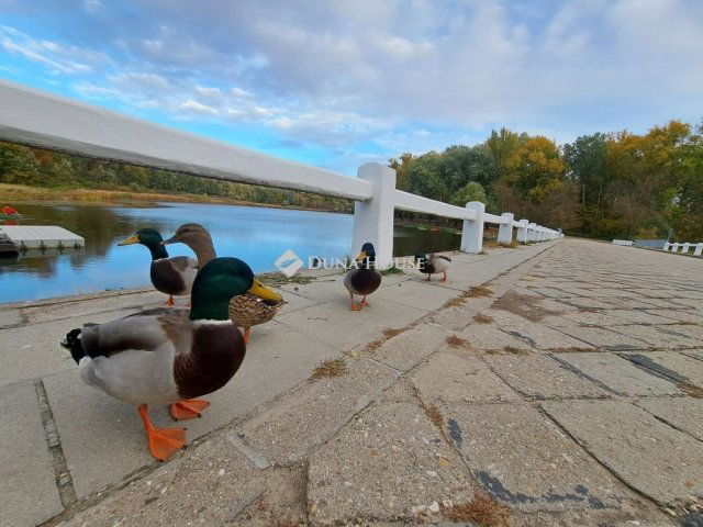 Eladó üzlethelyiség, Lakitelken 64.9 M Ft / költözzbe.hu