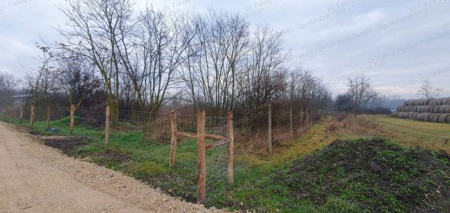 Eladó telek, Lébényben 99.999 M Ft / költözzbe.hu