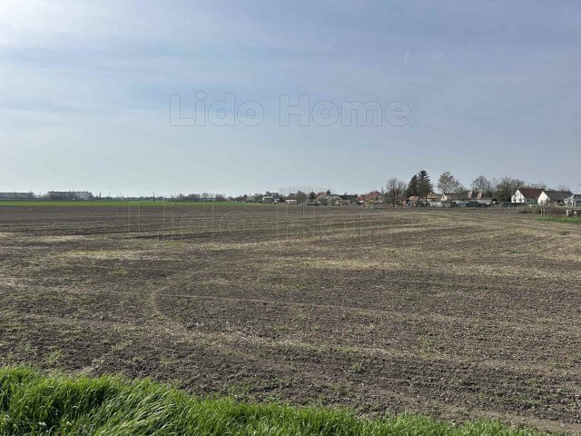 Eladó telek, Lepsényben 13.5 M Ft / költözzbe.hu