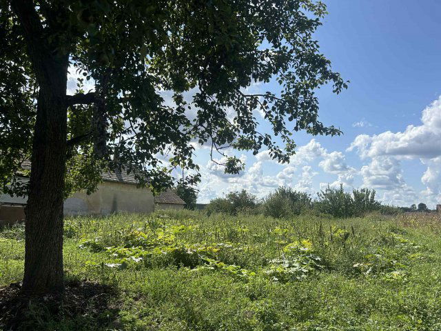 Eladó telek, Somogysárdon 1.7 M Ft / költözzbe.hu