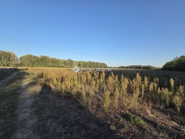 Eladó mezogazdasagi ingatlan, Kisteleken 10.59 M Ft, 5 szobás