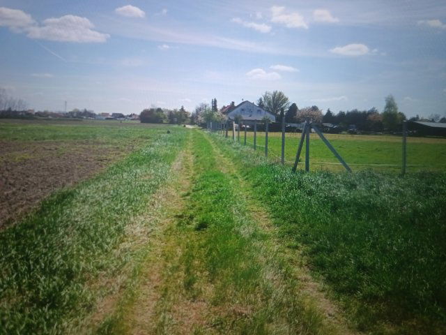 Eladó telek, Tökölön 8 M Ft / költözzbe.hu