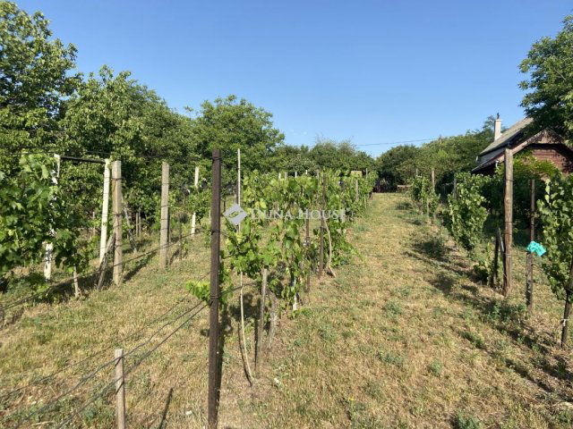 Eladó telek, Tárnokon, Otelló utcában 9.95 M Ft