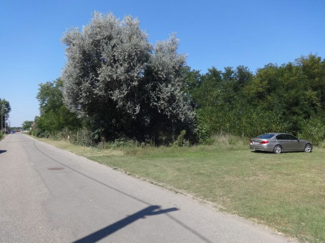 Eladó telek, Tiszakécskén 40 M Ft / költözzbe.hu