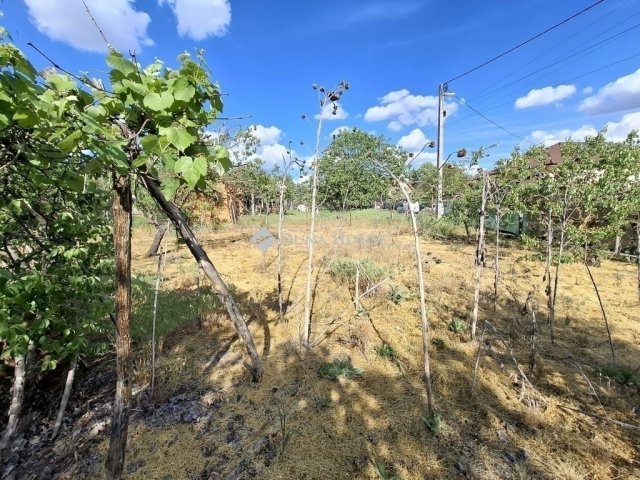 Eladó családi ház, Erdőkertesen 79.9 M Ft, 2 szobás