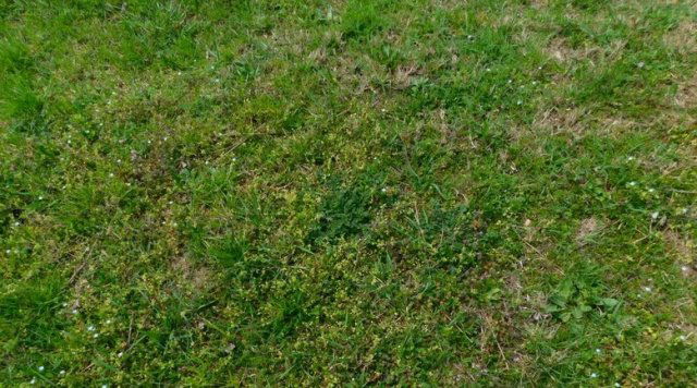 Eladó telek, Szászbereken 6.8 M Ft / költözzbe.hu