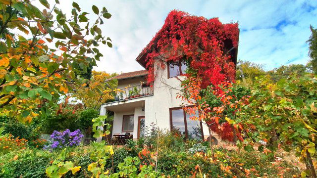 Eladó családi ház, Leányfaluban, Sólyom utcában 134.9 M Ft