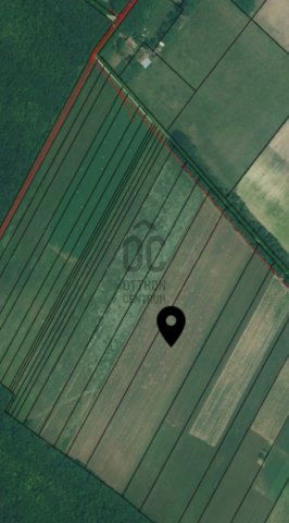Eladó mezogazdasagi ingatlan, Felsőpakonyban 23.99 M Ft