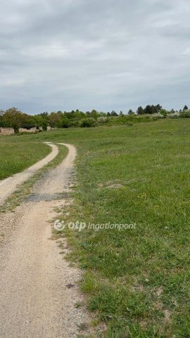 Eladó telek, Lesencetomajon 7.5 M Ft / költözzbe.hu