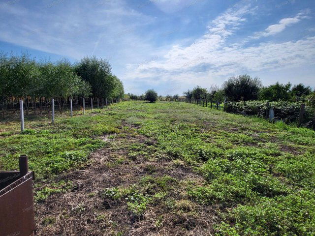 Eladó családi ház, Tyukodon 8 M Ft, 3 szobás