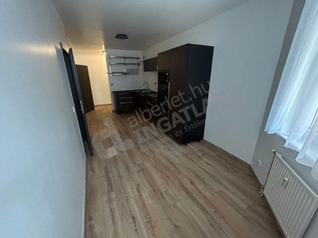 Kiadó téglalakás, albérlet, VII. kerületben, Péterfy Sándor utcában