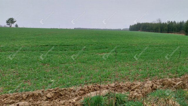 Eladó telek, Hegyhátszentjakabon 10 M Ft / költözzbe.hu