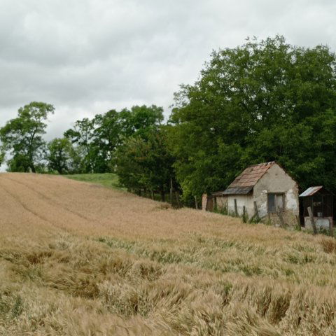Eladó nyaraló, Tengődön 7.5 M Ft, 2 szobás