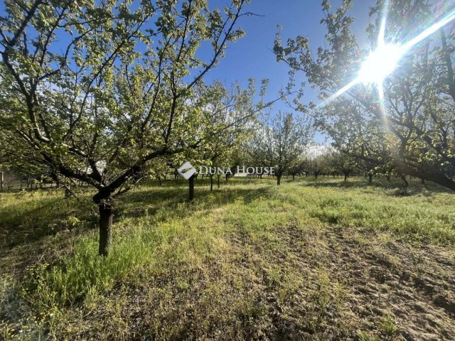 Eladó telek, Helvécián 23 M Ft / költözzbe.hu