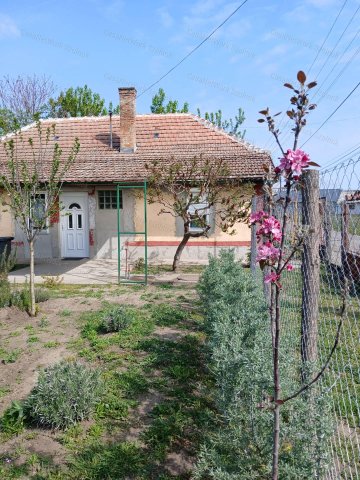 Eladó családi ház, Tiszaföldváron 13.4 M Ft, 2 szobás