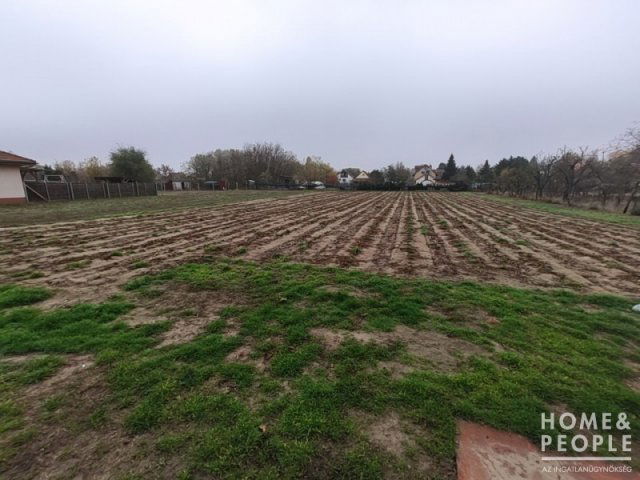 Eladó mezogazdasagi ingatlan, Zsombón 6.2 M Ft