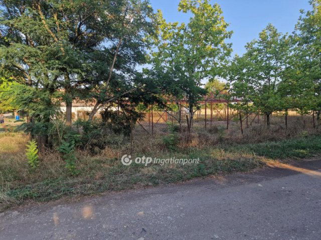 Eladó telek, Törökszentmiklóson 5.5 M Ft / költözzbe.hu
