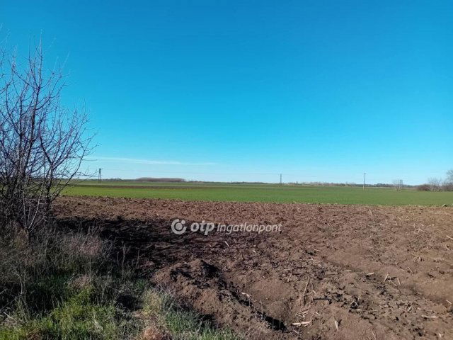 Eladó telek, Körösszakálon 2.6 M Ft / költözzbe.hu