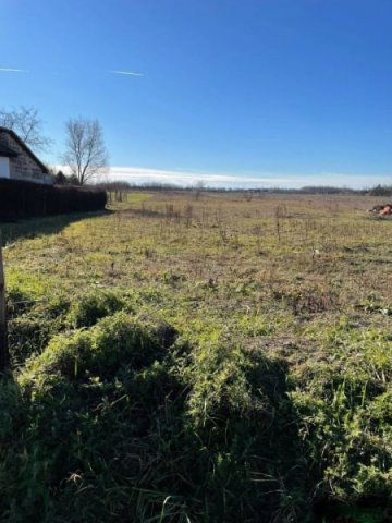 Eladó telek, Tápiószőlősön 4.5 M Ft / költözzbe.hu