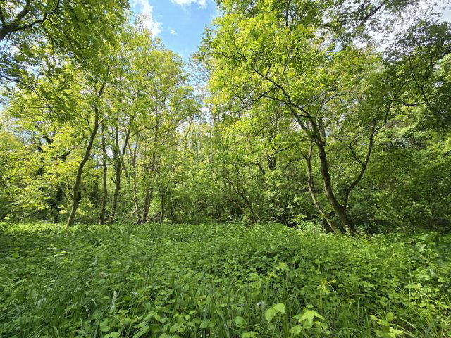 Eladó családi ház, Nagyberkin 9.9 M Ft, 3 szobás